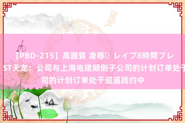 【PBD-215】高画質 凌辱・レイプ8時間プレミアムBEST ST天龙：公司与上海电建颠倒子公司的计划订单处于迢遥践约中