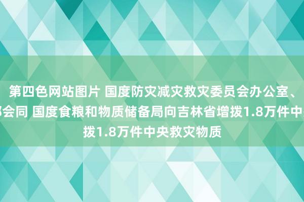 第四色网站图片 国度防灾减灾救灾委员会办公室、救急处罚部会同 国度食粮和物质储备局向吉林省增拨1.8万件中央救灾物质