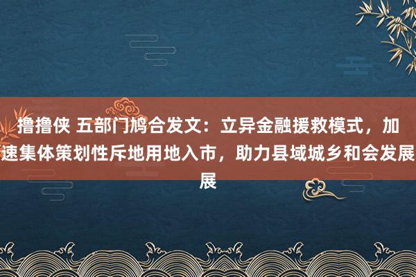 撸撸侠 五部门鸠合发文：立异金融援救模式，加速集体策划性斥地用地入市，助力县域城乡和会发展