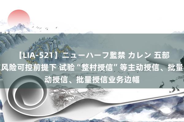 【LIA-521】ニューハーフ監禁 カレン 五部门：饱读舞在风险可控前提下 试验“整村授信”等主动授信、批量授信业务边幅