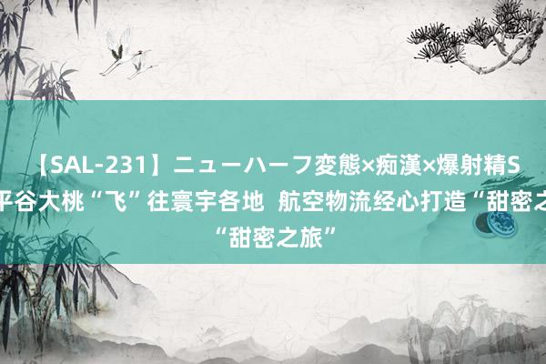 【SAL-231】ニューハーフ変態×痴漢×爆射精SEX 平谷大桃“飞”往寰宇各地  航空物流经心打造“甜密之旅”