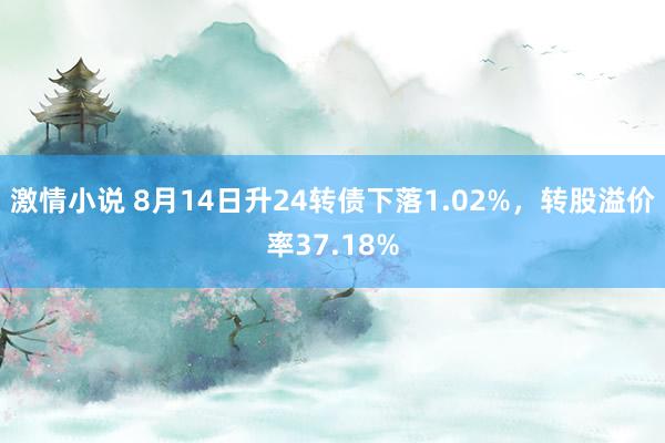 激情小说 8月14日升24转债下落1.02%，转股溢价率37.18%