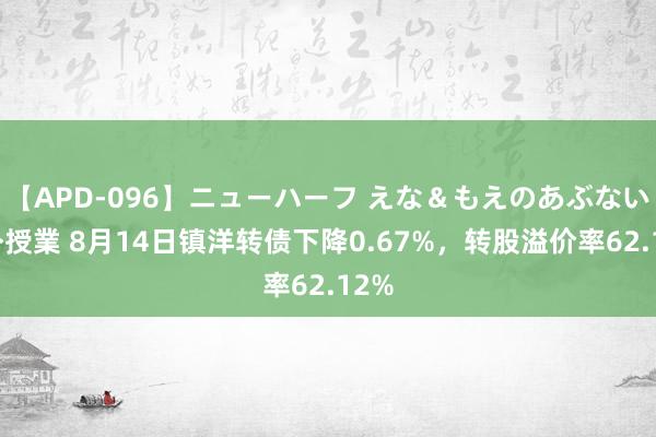 【APD-096】ニューハーフ えな＆もえのあぶない課外授業 8月14日镇洋转债下降0.67%，转股溢价率62.12%