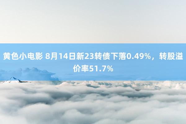 黄色小电影 8月14日新23转债下落0.49%，转股溢价率51.7%