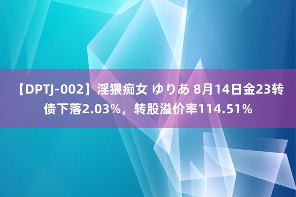 【DPTJ-002】淫猥痴女 ゆりあ 8月14日金23转债下落2.03%，转股溢价率114.51%