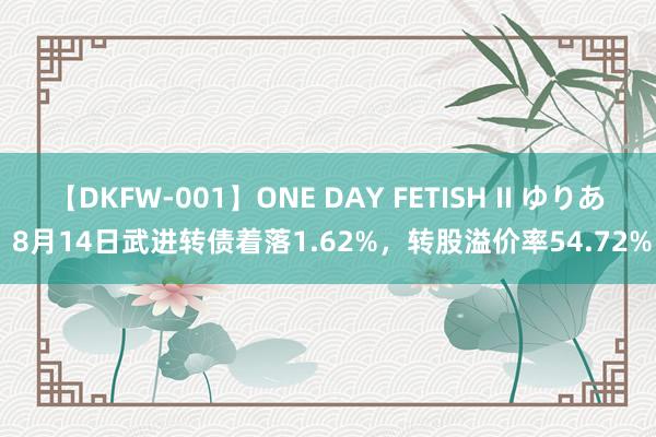 【DKFW-001】ONE DAY FETISH II ゆりあ 8月14日武进转债着落1.62%，转股溢价率54.72%