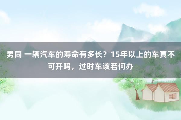 男同 一辆汽车的寿命有多长？15年以上的车真不可开吗，过时车该若何办