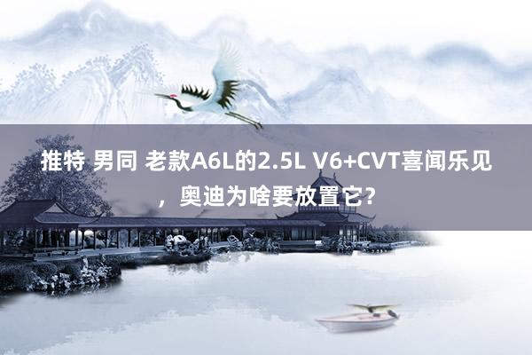 推特 男同 老款A6L的2.5L V6+CVT喜闻乐见，奥迪为啥要放置它？