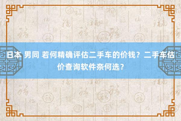 日本 男同 若何精确评估二手车的价钱？二手车估价查询软件奈何选？