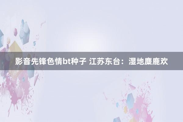 影音先锋色情bt种子 江苏东台：湿地麋鹿欢