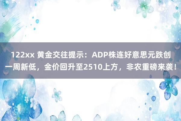 122xx 黄金交往提示：ADP株连好意思元跌创一周新低，金价回升至2510上方，非农重磅来袭！