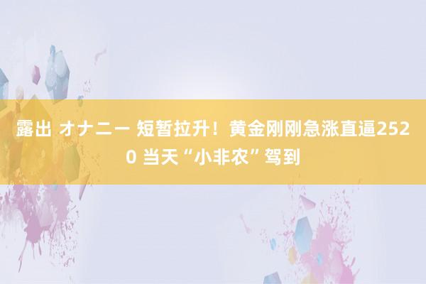 露出 オナニー 短暂拉升！黄金刚刚急涨直逼2520 当天“小非农”驾到