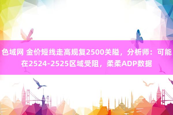 色域网 金价短线走高规复2500关隘，分析师：可能在2524-2525区域受阻，柔柔ADP数据