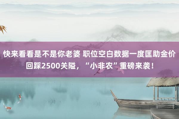 快来看看是不是你老婆 职位空白数据一度匡助金价回踩2500关隘，“小非农”重磅来袭！