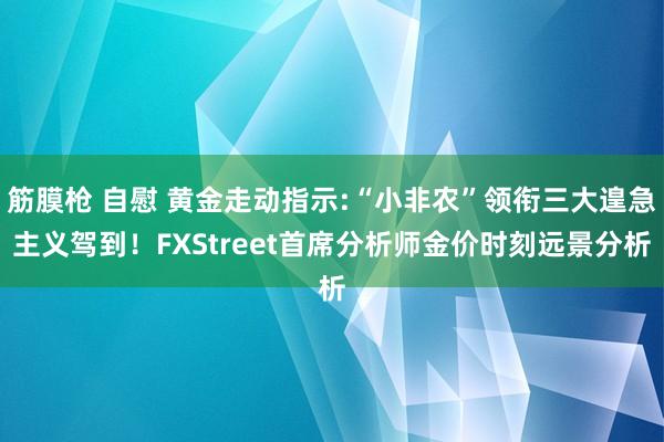 筋膜枪 自慰 黄金走动指示:“小非农”领衔三大遑急主义驾到！FXStreet首席分析师金价时刻远景分析