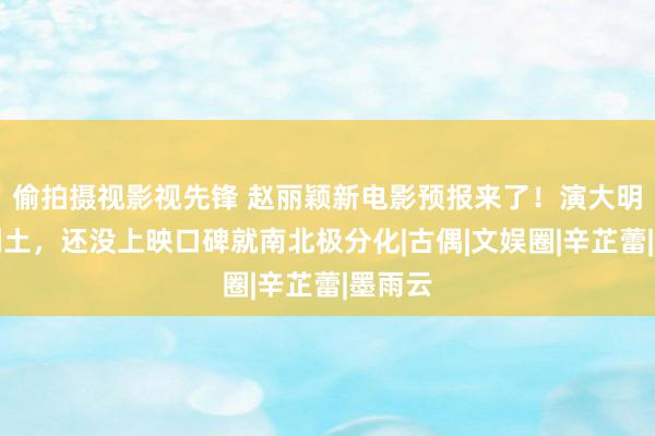 偷拍摄视影视先锋 赵丽颖新电影预报来了！演大明星被嘲土，还没上映口碑就南北极分化|古偶|文娱圈|辛芷蕾|墨雨云