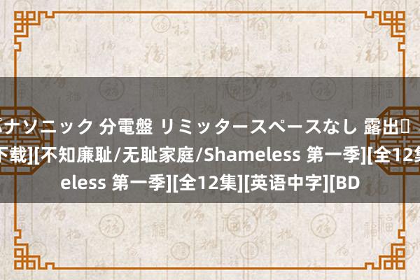 パナソニック 分電盤 リミッタースペースなし 露出・半埋込両用形 [BT下载][不知廉耻/无耻家庭/Shameless 第一季][全12集][英语中字][BD