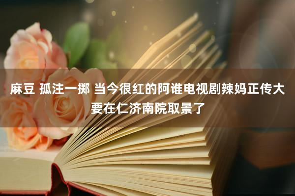 麻豆 孤注一掷 当今很红的阿谁电视剧辣妈正传大要在仁济南院取景了